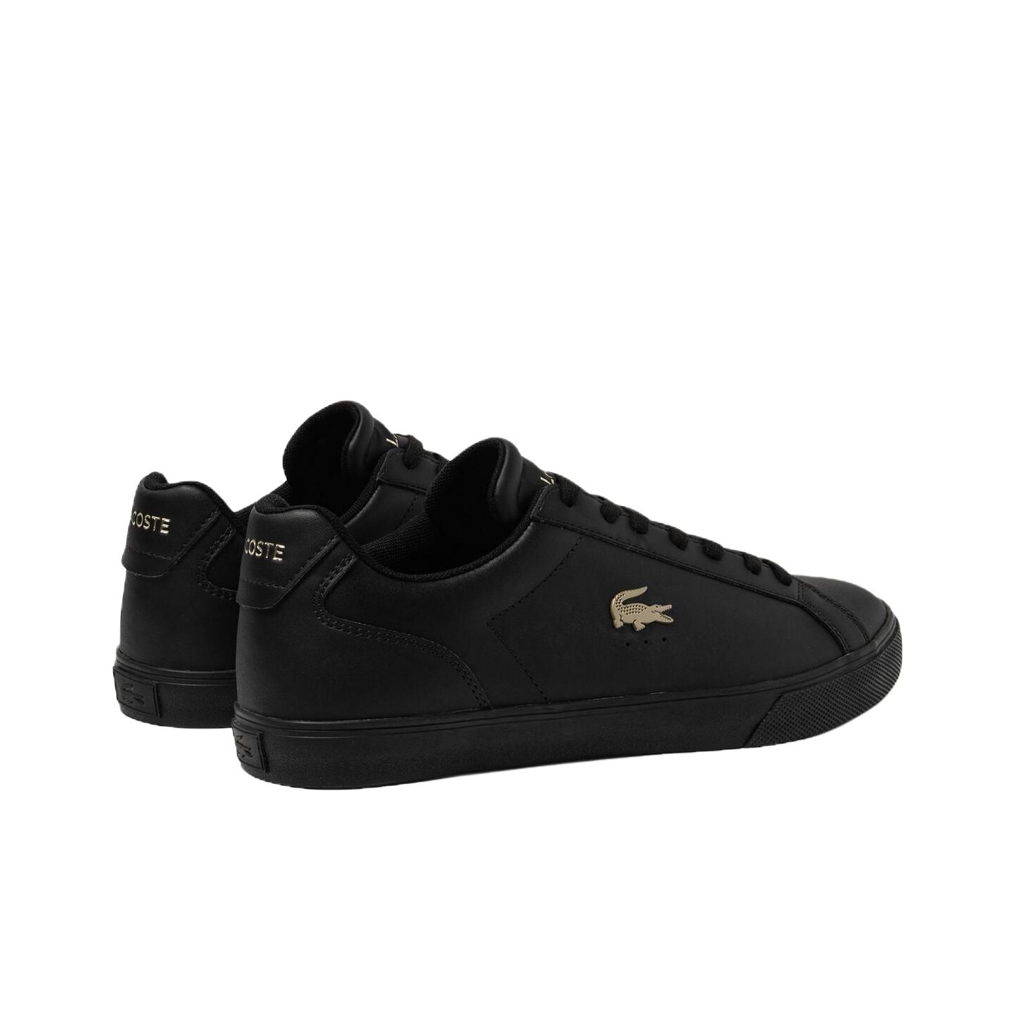 LACOSTE Low top Skateboard Sho - Men Shoes Lacoste 评论和价格